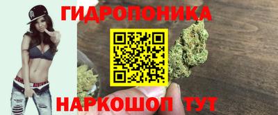 гидра Малгобек