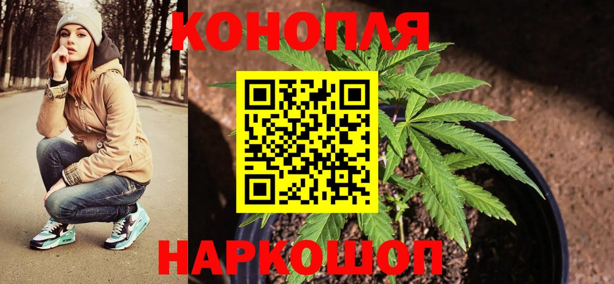 Бошки Шишки THC 21% Элиста